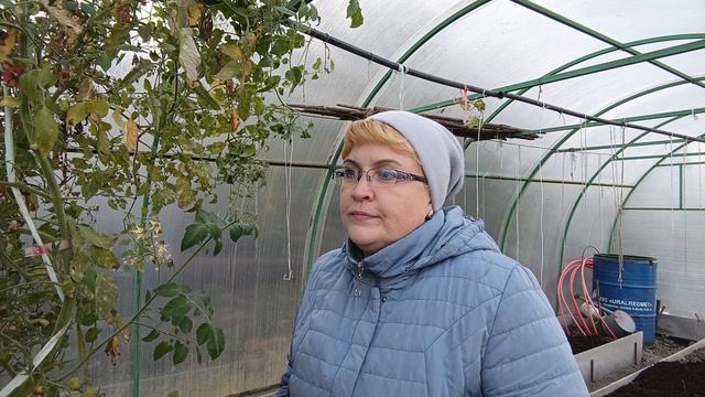 с утра уже на огороде смотреть онлайн
