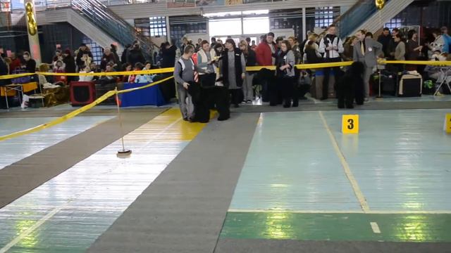 DSC 5501 смотреть онлайн