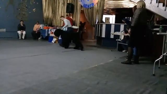кобельоткрытый смотреть онлайн