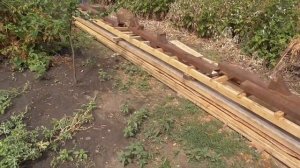 В гости в Саратовскую область ловим раков! ВСТРЕТИЛИ ГАДЮКУ Дорога ОГОРОД ДЕДА!