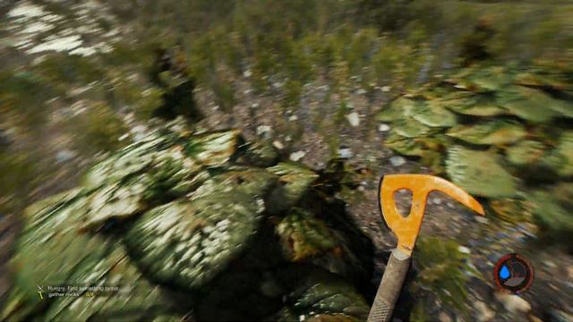 The Forest: меня съел гладиатор! смотреть онлайн