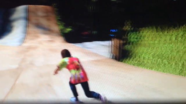 Skate 3 Danny ways Hawaiian dream tricks and fails смотреть онлайн