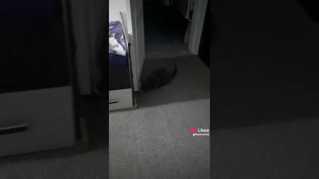 Рэм&Барс. Тусим, выспался за день. смотреть онлайн