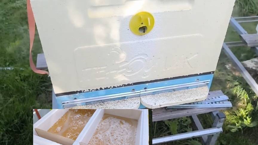 Подкормка пчел в сентябре. # осенняя_подкормка_пчел # будни_начинающего_пчеловода смотреть онлайн
