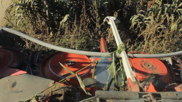 Il taglio del sorgo - Azienda Agricola Benedetti смотреть онлайн