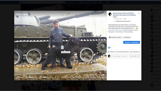 Загрузка фотографий из интернета смотреть онлайн