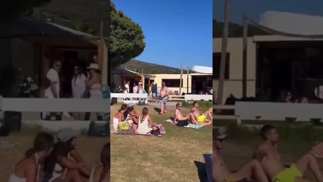 Альфа-самец