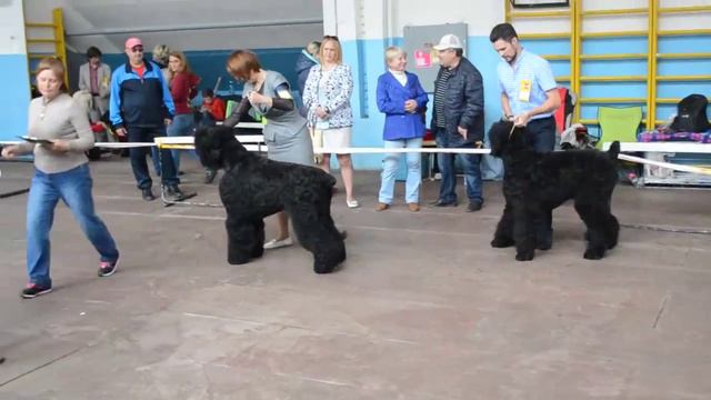 DSC 1186 смотреть онлайн