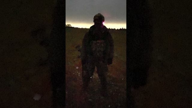 знойный самум смотреть онлайн