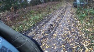 На старой КОПЕЙКЕ едем ВАЛИТЬ грибы!!!