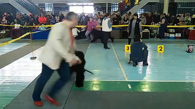 VID 20160116 142744 смотреть онлайн