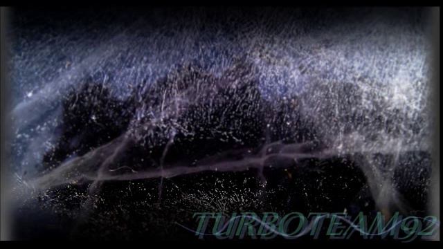 turboteam-ameli.wmv смотреть онлайн
