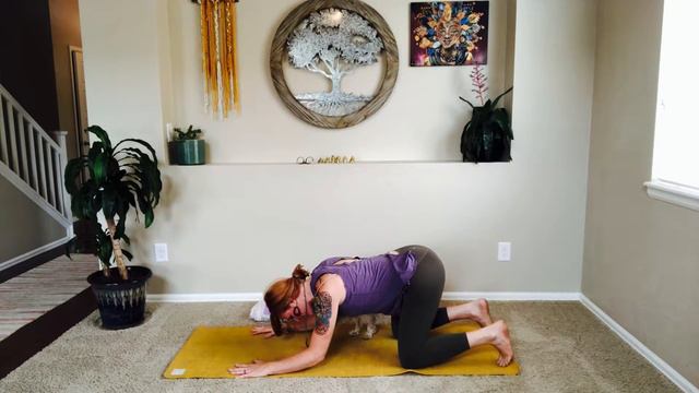 Practice 1: Trust Yoga 7 Practices to a Better You | Yoga Bliss with Shelly смотреть онлайн