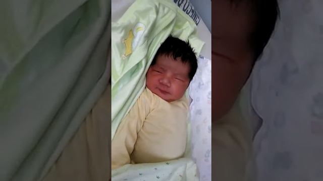 Héctor lizano смотреть онлайн