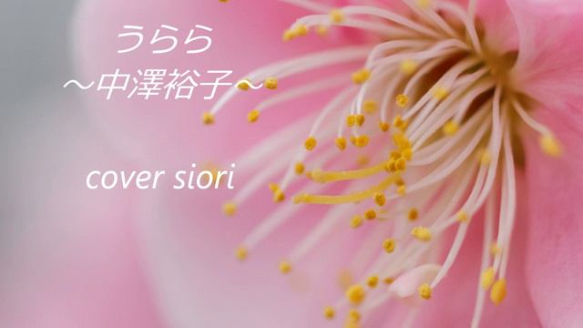 うらら～中澤裕子～cover смотреть онлайн