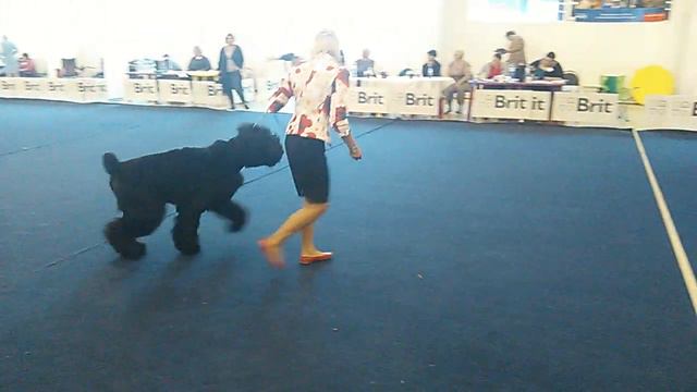 VID 20180819 171631 смотреть онлайн