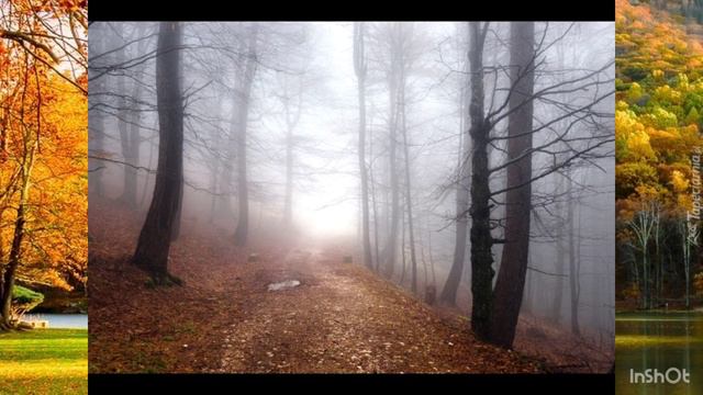 Осенний туман🤘🫶😍💞🔥