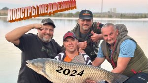«МОНСТРЫ МЕДВЕЖКИ - 2024». Рыбалка на белого Амура. Огромные селёдки озера «МЕДВЕЖКА»