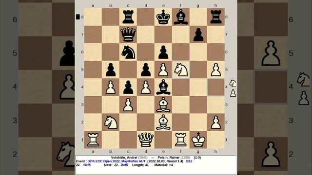 Volokitin, Andrei vs Polzin, Rainer | 37th ECC Chess Open 2022, Mayrhofen Austria смотреть онлайн