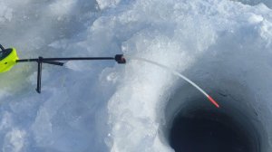 КРУПНЫЕ КАРАСИ ПОДНИМАЮТ КИВКИ!!!! Зимняя рыбалка