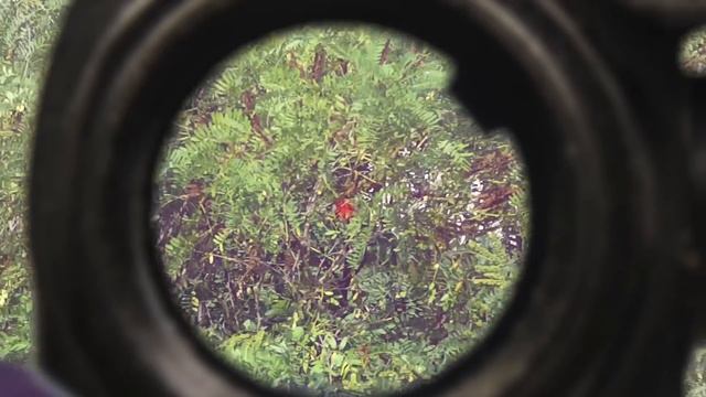 МОЙ НОВЫЙ КАЛАШ И ГОСТЬ ИЗ АНГЛИИ. СТРАЙКБОЛ // AIRSOFT ACTION