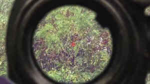 МОЙ НОВЫЙ КАЛАШ И ГОСТЬ ИЗ АНГЛИИ. СТРАЙКБОЛ // AIRSOFT ACTION