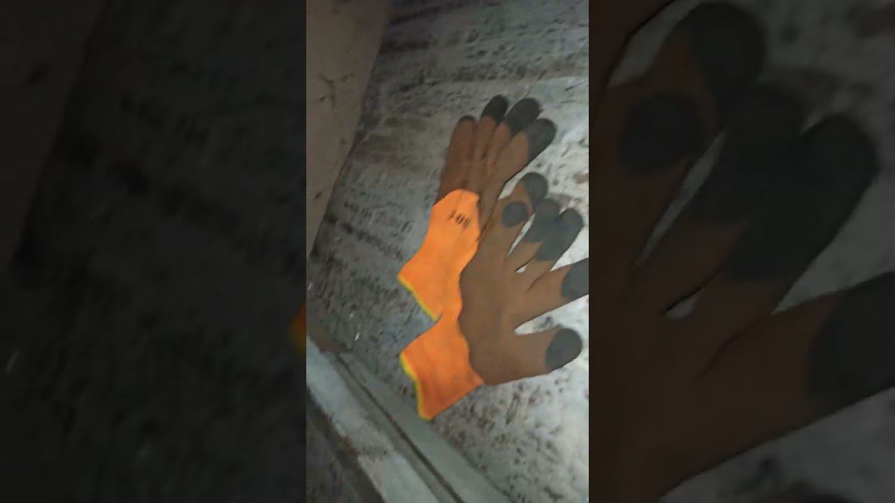 проверка ульев на наличие живых пчел