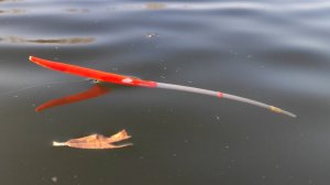 РЫБАЛКА НА ПОПЛАВОК ОСЕНЬЮ - ЛОВЛЯ НА УДОЧКУ В ОКТЯБРЕ НА РЕКЕ