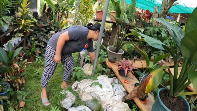 A Day In The Life Of Dennis And Marissa | The Happenings Today смотреть онлайн