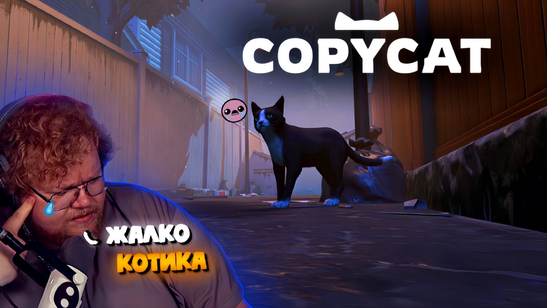 "Т2х2 ИГРАЕТ В COPYCAT / ГРУСТНАЯ ИГРА ПРО КОШКУ смотреть онлайн