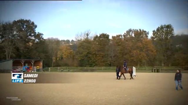 BA PROFESSION CAVALIER KEVIN STAUT смотреть онлайн