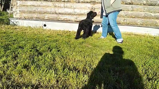 VID 20180722 190433 1 смотреть онлайн