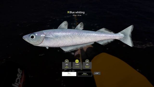 Trophy Blue Whiting + Mackerel | $700+ /hr | 0.6% Marine Skill in 1hr | Sep 23, 2023 смотреть онлайн