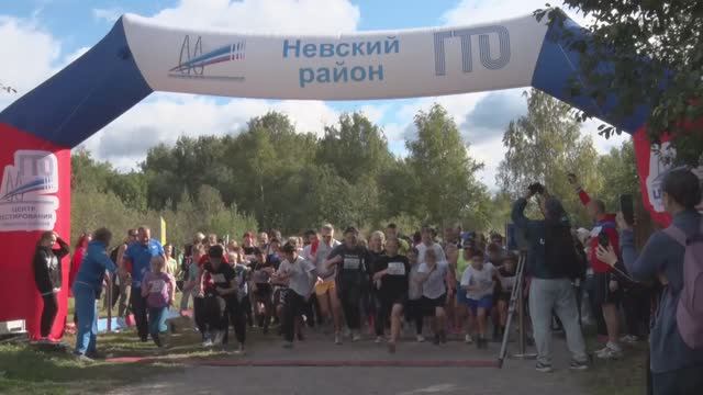 Кросс нации в Невском районе. 21 сентября 2024 г. смотреть онлайн