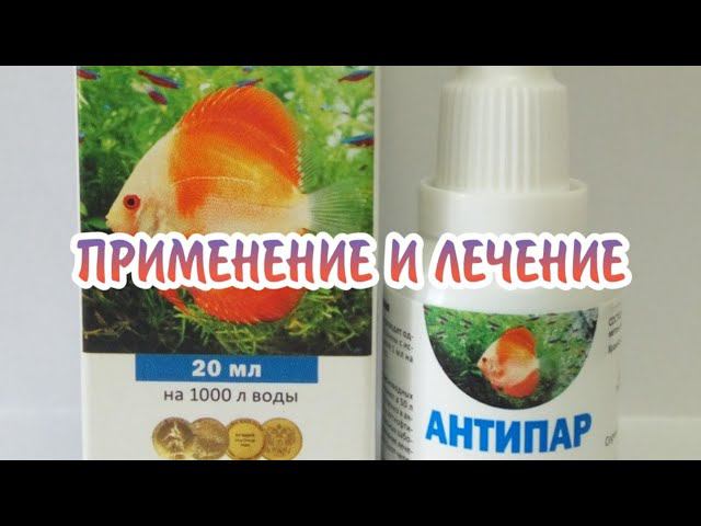 АНТИПАР. ПРИМЕНЕНИЕ И ЛЕЧЕНИЕ АКВАРИУМНЫХ РЫБОК