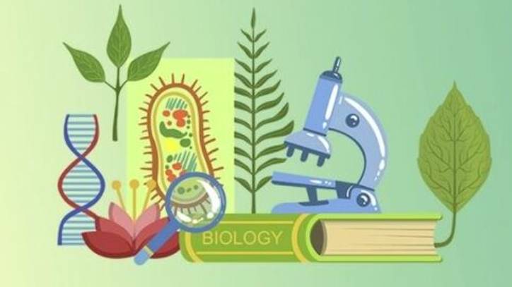 Биология 6 класс. Органы цветковых растений. --