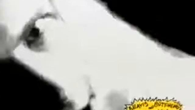 Beavis & Butthead / Megadeth - Symphony Of Destruction смотреть онлайн