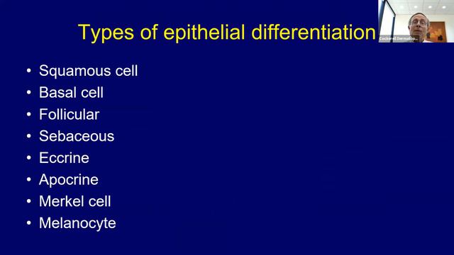 Introduction to Dermatology and Dermatopathology v2020 смотреть онлайн