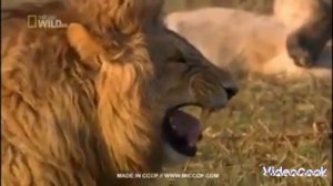 Американские фильмы