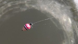 КАРАСИ подымают ПОПЛАВКИ И КИВКИ, ЗИМНЯЯ РЫБАЛКА на удочки