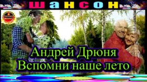 АНДРЕЙ ДРЮНЯ. ВСПОМНИ НАШЕ ЛЕТО.
