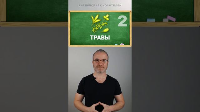 Словарный запас английского языка. РУБРИКА - НА КУХНЕ смотреть онлайн
