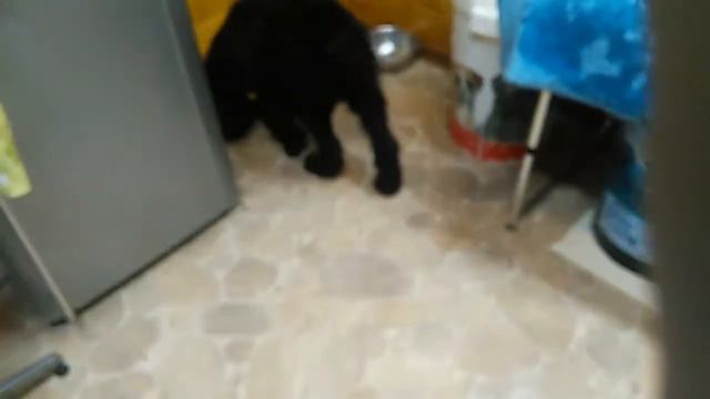 VID 20151222 223621 смотреть онлайн