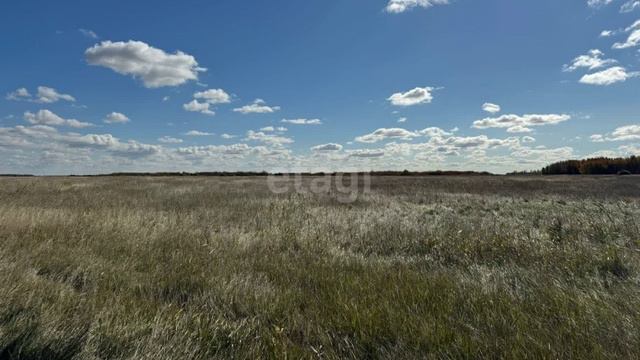 11500331 смотреть онлайн