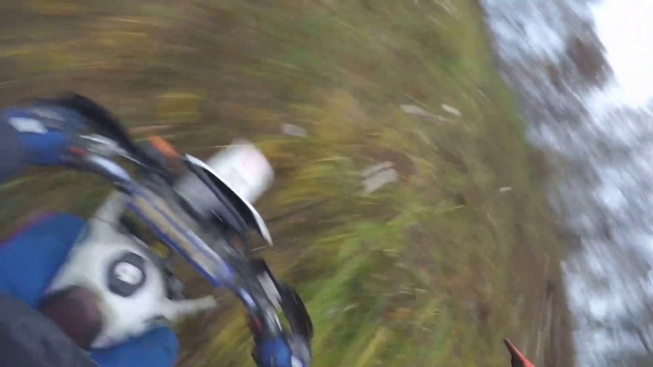 14 декабря 2015 г. смотреть онлайн