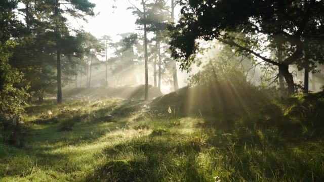 Korsuorkesteri – Parisienne Walkways(Музыка для релаксации) смотреть онлайн