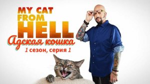 Адская кошка / My Cat From Hell
