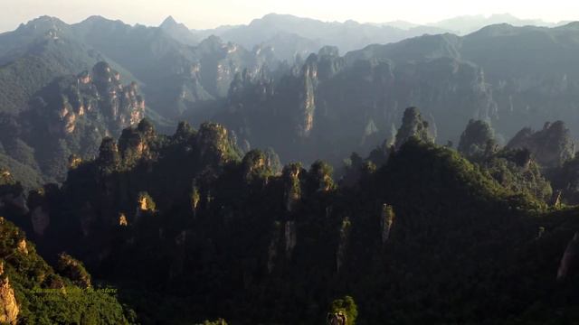 LES MERVEILLES DE LA NATURE - Stephen Sicard( Logos ) смотреть онлайн