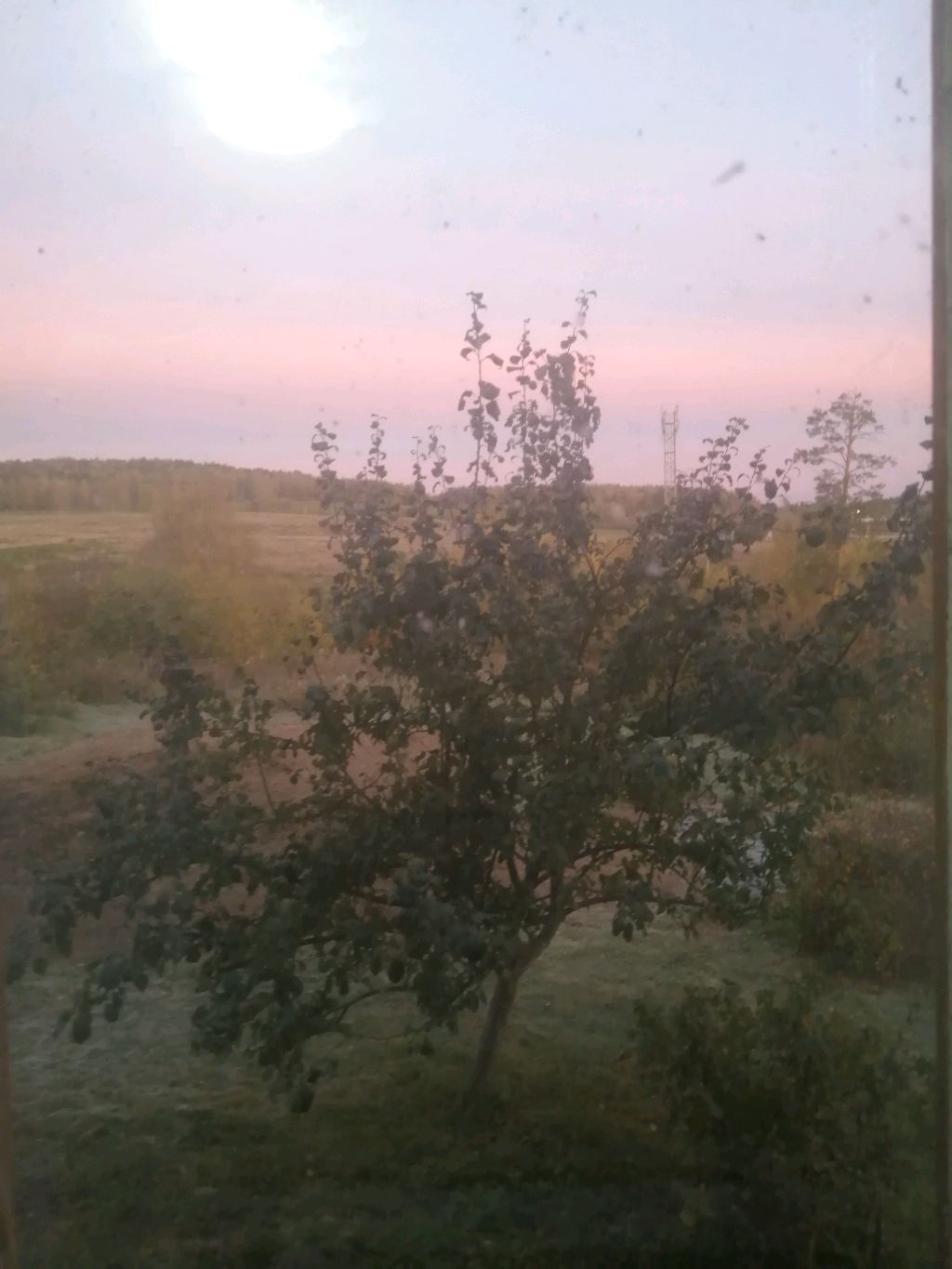 как смотреть онлайн