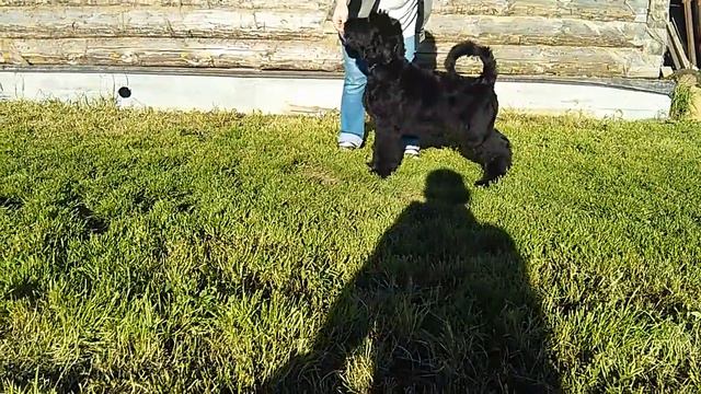 VID 20180722 190433 смотреть онлайн